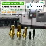 Pre-Fabricated Angled Abutment-Compatible with Osstem Hiossen TS - Image 6