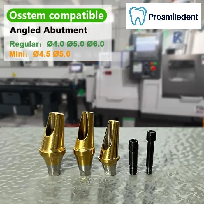 Pre-Fabricated Angled Abutment-Compatible with Osstem Hiossen TS - Image 6