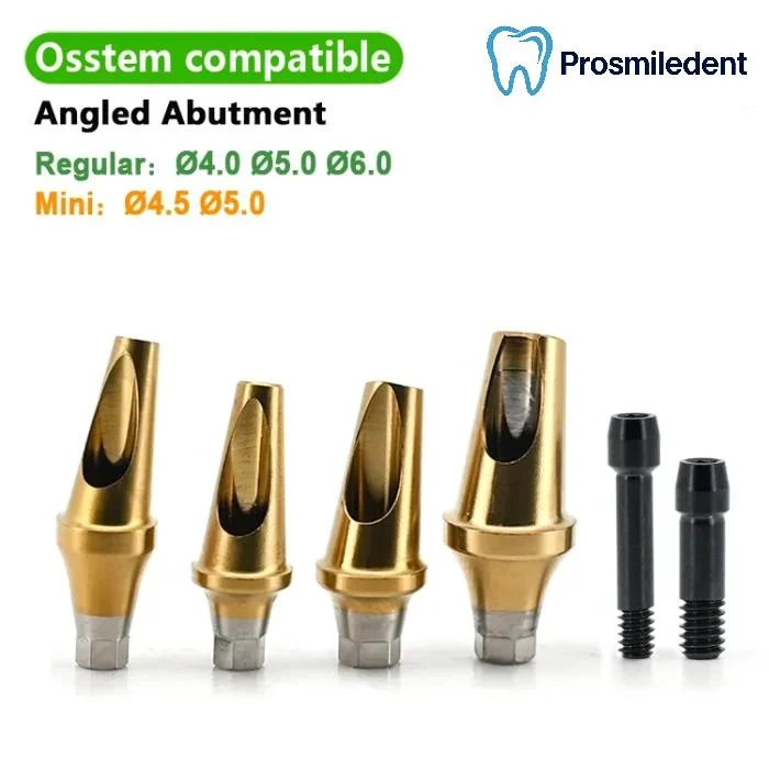 Pre-Fabricated Angled Abutment-Compatible with Osstem Hiossen TS - Image 5