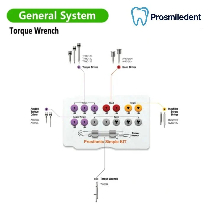 Dental Torque Wrench-Compatible with Common type Bore: 7mm - Image 3