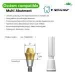 Multi Straight Abutment-Compatible with Osstem Hiossen TS - Image 2