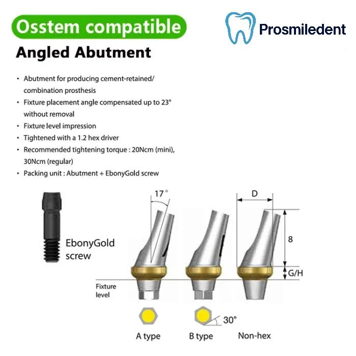 Pre-Fabricated Angled Abutment-Compatible with Osstem Hiossen TS - Image 2