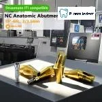 Pre-Fabricated Angled Abutment-Compatible with ITI-straumann - Image 6