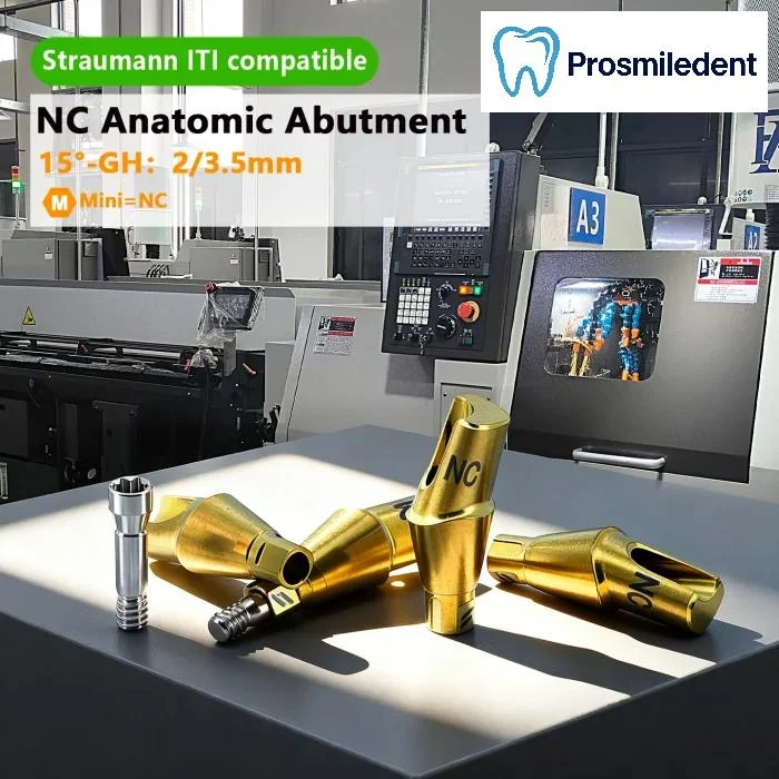 Pre-Fabricated Angled Abutment-Compatible with ITI-straumann - Image 6