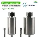 Titanium Abutment Blanks-Compatible with Dentium SuperLine ll, SuperLine - Image 3