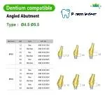 Pre-fabricated Angled Abutment-Compatible with Dentium SuperLine ll, SuperLine - Image 2