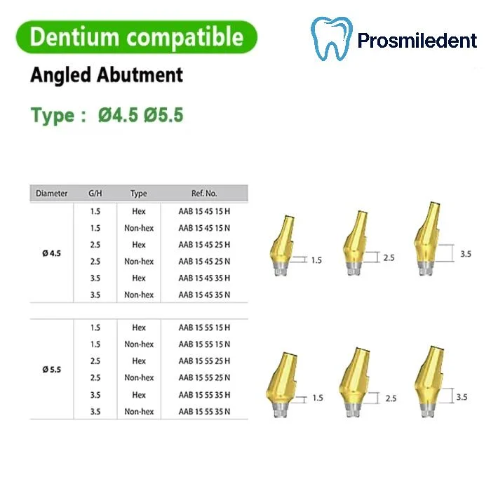 Pre-fabricated Angled Abutment-Compatible with Dentium SuperLine ll, SuperLine - Image 2