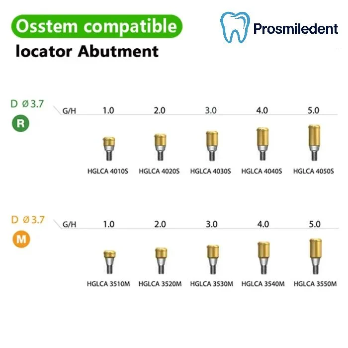 locator Abutment-Compatible with Osstem Hiossen TS - Image 2
