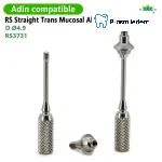 Multi Straight Abutment-Compatible with Adin - Image 2