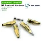 Pre-Fabricated Angled Abutment-Compatible with ITI-straumann - Image 5