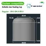 Protect Cap-Compatible with Osstem Hiossen TS - Image 5