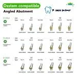 Pre-Fabricated Angled Abutment-Compatible with Osstem Hiossen TS - Image 4