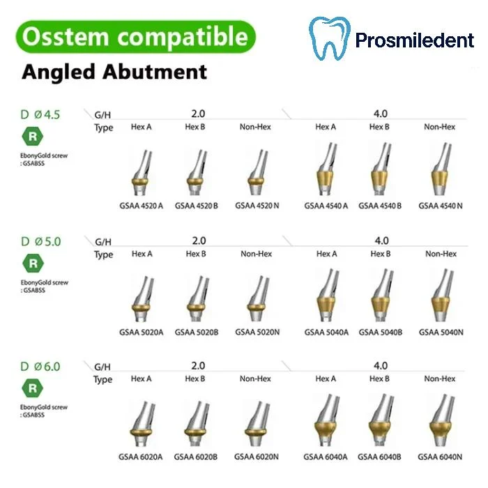 Pre-Fabricated Angled Abutment-Compatible with Osstem Hiossen TS - Image 4