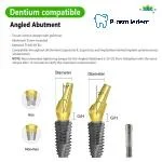 Pre-fabricated Angled Abutment-Compatible with Dentium SuperLine ll, SuperLine - Image 4