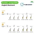Pre-Fabricated Angled Abutment-Compatible with Osstem Hiossen TS - Image 3