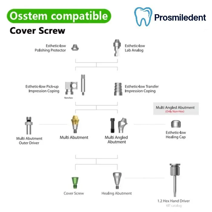 Cover Screw-Compatible with Osstem Hiossen TS - Image 4