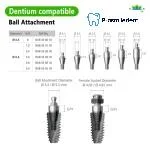 Ball Attachment-Compatible with Dentium SuperLine ll, SuperLine - Image 2