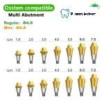Multi Straight Abutment-Compatible with Osstem Hiossen TS - Image 3