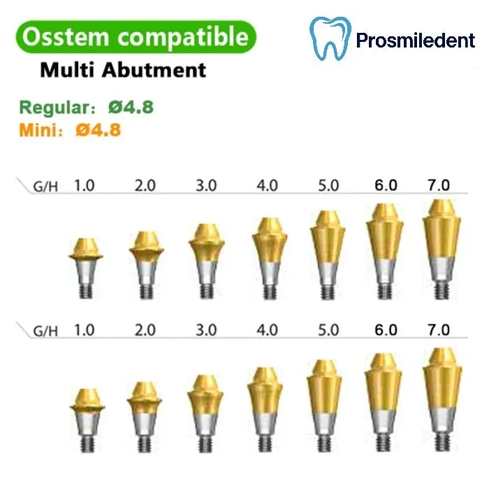 Multi Straight Abutment-Compatible with Osstem Hiossen TS - Image 3