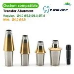 Pre-Fabricated Straight Abutment-Compatible with Osstem Hiossen TS - Image 5