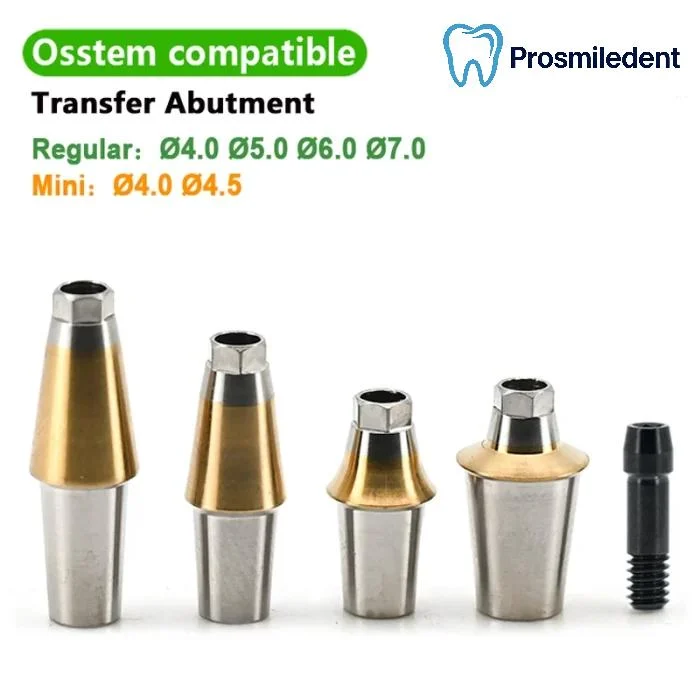 Pre-Fabricated Straight Abutment-Compatible with Osstem Hiossen TS - Image 5