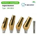 Pre-fabricated Angled Abutment-Compatible with Dentium SuperLine ll, SuperLine - Image 5