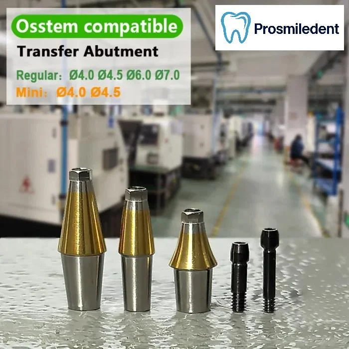 Pre-Fabricated Straight Abutment-Compatible with Osstem Hiossen TS - Image 6