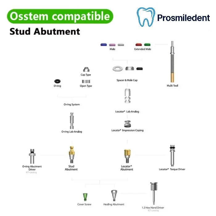 Stud/ball Abutment-Compatible with Osstem Hiossen TS - Image 4