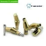 Pre-Fabricated Angled Abutment-Compatible with ITI-straumann