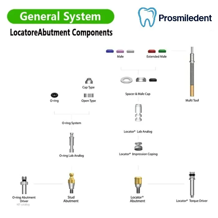 Locator abutment-Compatible with Osstem Hiossen TS - Image 3
