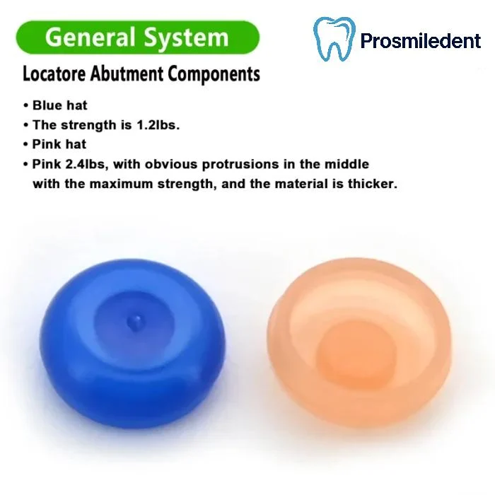 Locatore Abutment Components-Compatible with all systems - Image 5