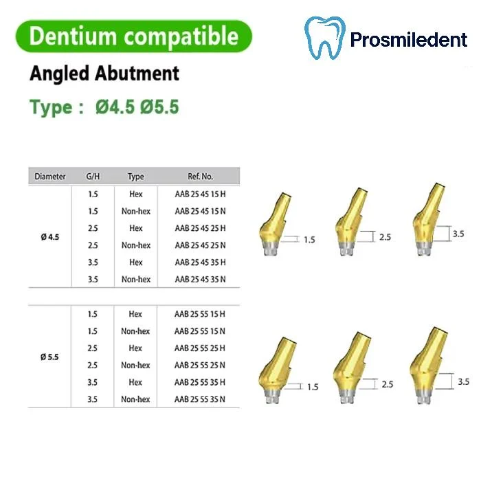 Pre-fabricated Angled Abutment-Compatible with Dentium SuperLine ll, SuperLine - Image 3