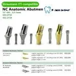 Pre-Fabricated Angled Abutment-Compatible with ITI-straumann - Image 2