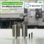 Pre-Milled Abutment-Compatible with Osstem Hiossen TS - Image 6