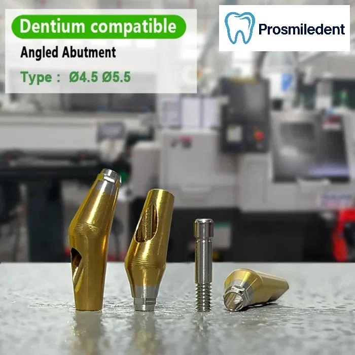 Pre-fabricated Angled Abutment-Compatible with Dentium SuperLine ll, SuperLine - Image 6