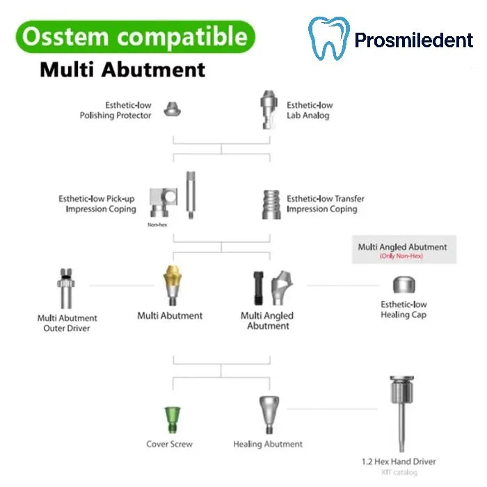 Multi Straight Abutment-Compatible with Osstem Hiossen TS - Image 4